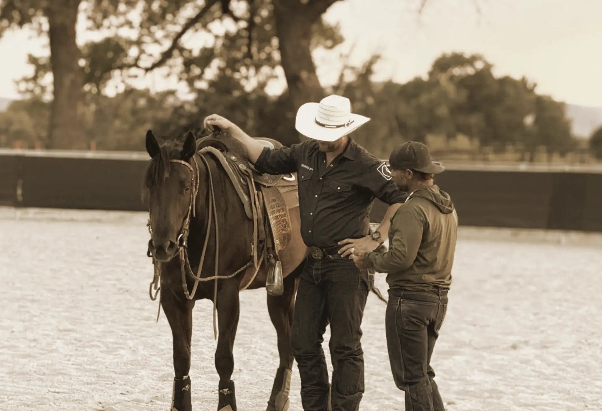 Equestrian scene for a forthcoming story