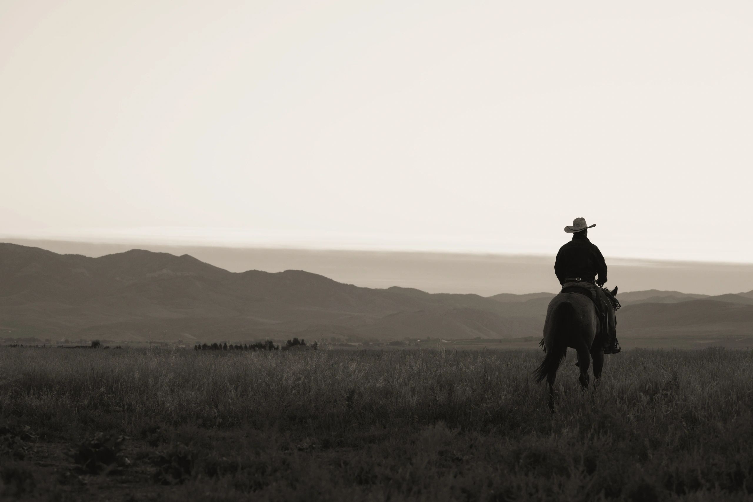 Rider and horse in an open equestrian setting